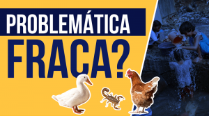 problemática fraca